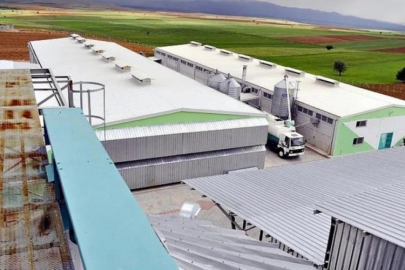 Bursa'dan sonra yeni FETÖ soruşturması! Kayyum atandı