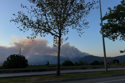 Bursa'nın ciğeri yanıyor! Her yerden gözüküyor...