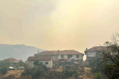 Uşak'ta Orman Yangını: Tahliyeler Başladı ve Evlere Zarar Verildi