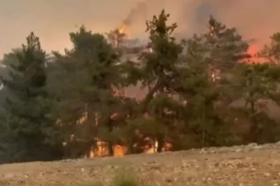 Bursa'da 5 köy tahliye edildi... Yangın felaketi büyüyor