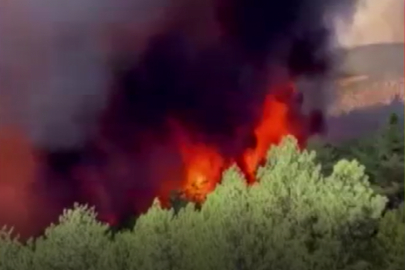 Bursa'da alevlerle mücadele! İki köy daha tahliye ediliyor...