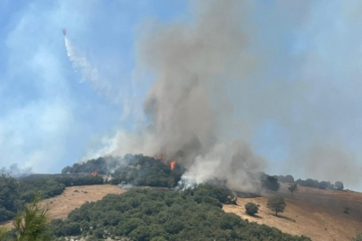 Bursa'da korkulan oldu! Alevler tekrar yükseliyor...