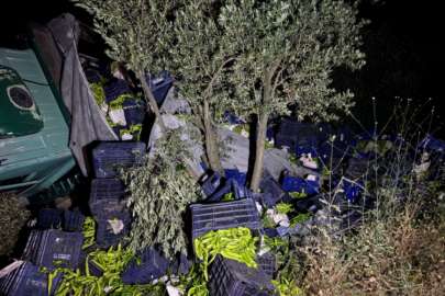 Bursa'da trafik kazası! Kontrolden çıkan tır tarlaya uçtu...