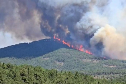 Bursa'nın o ilçesinde alevler yeniden büyüdü!