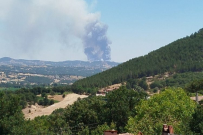 Orhaneli'de orman yangını! Ekipler sevk edildi