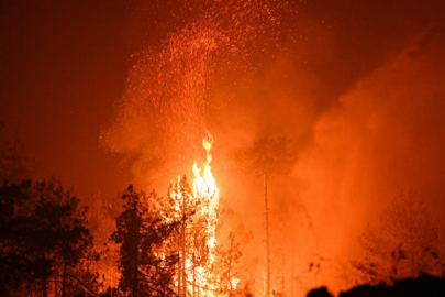 Bursa'da büyük panik! Kontrolden çıkan alevler bir köyü sardı...