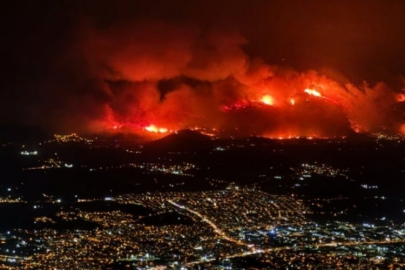 Bursa'da ormanı yakarken yakalanmıştı! Amcası konuştu...
