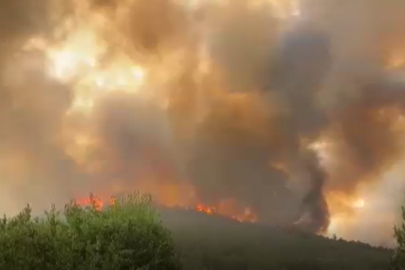 Bursa'daki yangın yerleşim yerinin dibinde! Vaziyet kötüleşiyor...