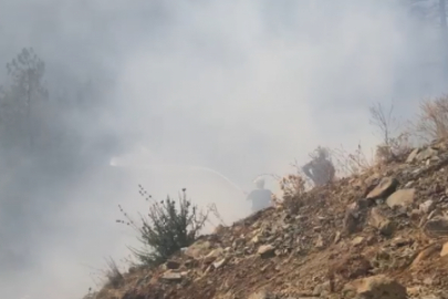 Bursa'daki yangında göz gözü görmüyor! Canla başla mücadele ediyorlar