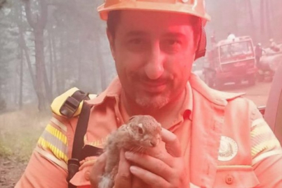 Bursa'daki yangından kurtarıldı!