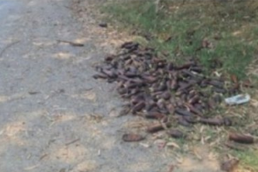 Patlıcanları yere döktü! Milyonlarca lira ceza ödeyecek