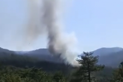 Bursa'da alevler tekrar baş gösterdi!