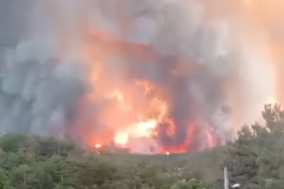 Bursa'da alevler ve çığlıklar aynı anda yükseliyor!