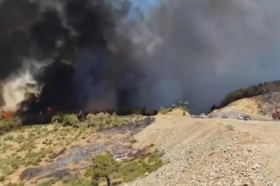 Bursa'da devam eden yangın ile ilgili Bakan Yumaklı konuştu!