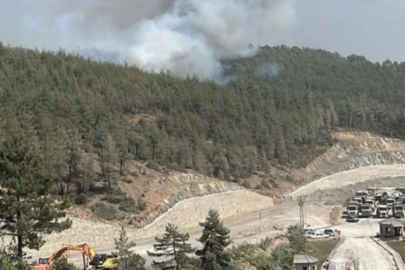 Bursa'da devam eden yangından iç rahatlatan haber geldi...