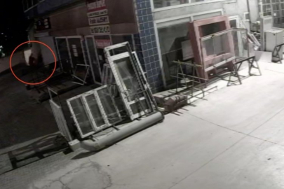 Köpeğe işkence kameralara yansıdı! Vurdu, ezdi, felç bıraktı...