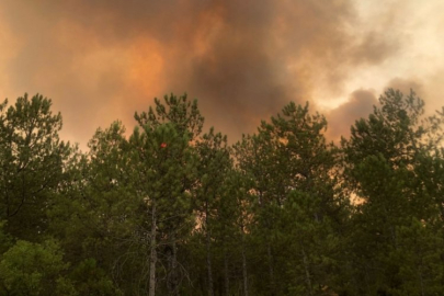 Bursa'da kundakçı hakkında ilginç detay! Başkan açıklama yaptı