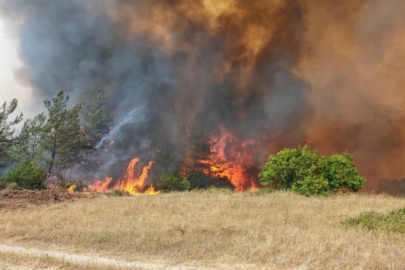 Bursa'da orman yangını hakkında sevindiren haber!