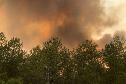 Bursa'daki felaket bölgesinden tüm Türkiye'ye mesaj var!