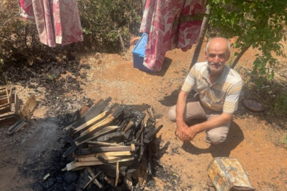 Bursa'daki yangında yürek yakan detay! Hepsi telef oldu