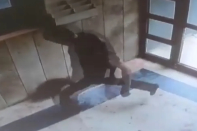 İstanbul'da kediye eziyet eden şahıs yakalandı