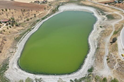 Kızılca Göleti'nin suyu çekildi, ölen balıklar kıyıya vurdu