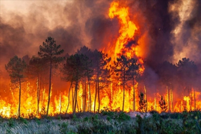 Orman yangınlarında ağır hasar gören illere konut yapılacak!