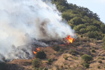 Tekirdağ'ın Şarköy ilçesinde yangın