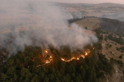 Türkiye'de bir ayda 12 bin 752 futbol sahası büyüklüğünde orman yandı