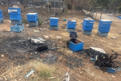 Bursa'da milyonlarcası telef oldu!