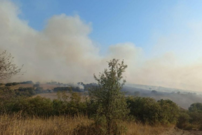 Bursa'nın komşusunda orman yangını! Müdahale sürüyor...
