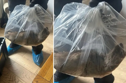 Evin içinde yakalandı, tam 55 santimetre!