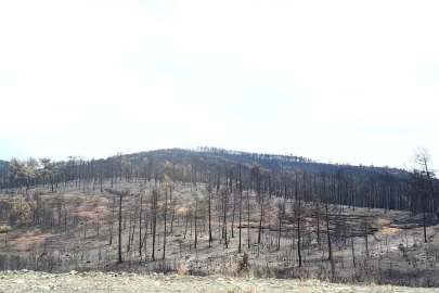 Harmancık’a geçmiş olsun ziyaretinde bulunduk