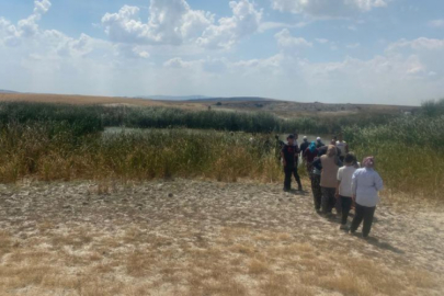 Serinlemek için gölete girdiler! Sonu korkunç bitti...