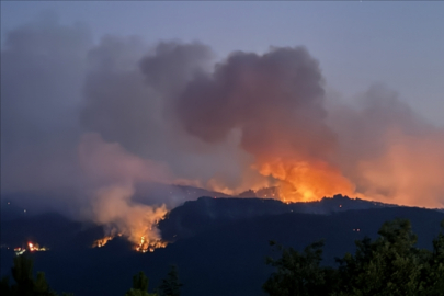 Yangın sonrası korkunç olay! Ormanda erkek cesedi bulundu...