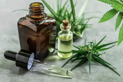 Tıbbi kenevirin tedavi amaçlı kullanacağı hastalıklar listelendi!