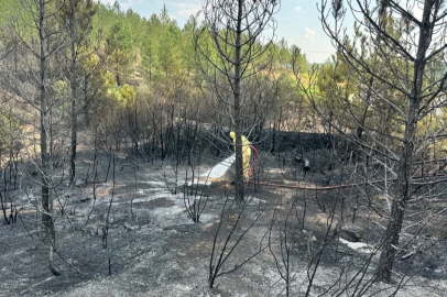 Uşak'ta ormanlık alana sıçrayan yangında son durum