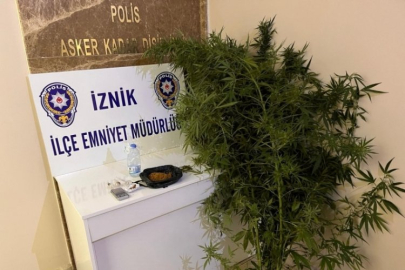 Bursa'da bahçesinde hint keneviri yetiştiren kişiler tutuklandı