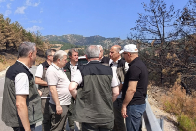 Bursa'daki orman yangınlarının izini silecek yol haritası belirlendi!