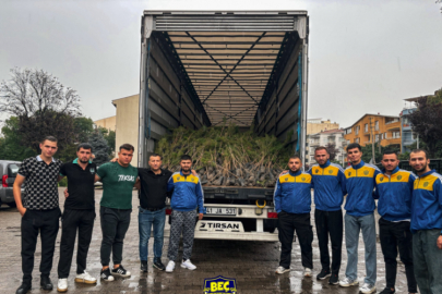 Ankaragücü taraftarından Bursa'ya anlamlı jest! 10 bin fidan gönderildi...
