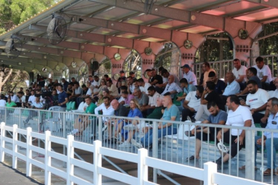 Bursa'da TİGEM'in tayları satışa çıktı! En yüksek bedel 'e-satış' üzerinden geldi...