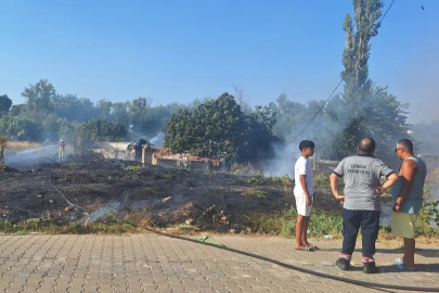 İzmir'de sazlık alanda yangın