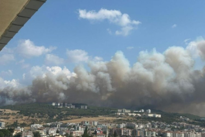 Alevler koca şehri sardı! Köyler, hastaneler tahliye ediliyor...