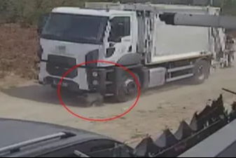 Sakarya'da ezerek öldürdükleri köpekleri çöp kamyonuna atıp götürdüler