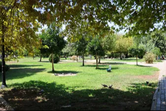 Adana'da kavurucu alarm: Araç termometreleri 51 dereceyi gösterdi