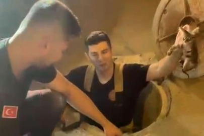 Bursa'da nefes kesen 'kedi' kurtarma operasyonu