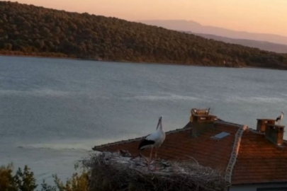 Bursa'da depremi önceden hisseden biri var!