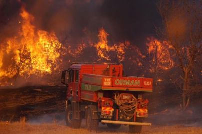 Çanakkale'de alevler ilerlemeye devam ediyor! Tahliyeler başladı...
