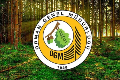 OGM: Bu yıl 5 binden fazla yangınla mücadele edildi