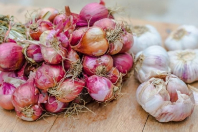 Bahçesinde soğan ve sarımsak olanlara uyarı